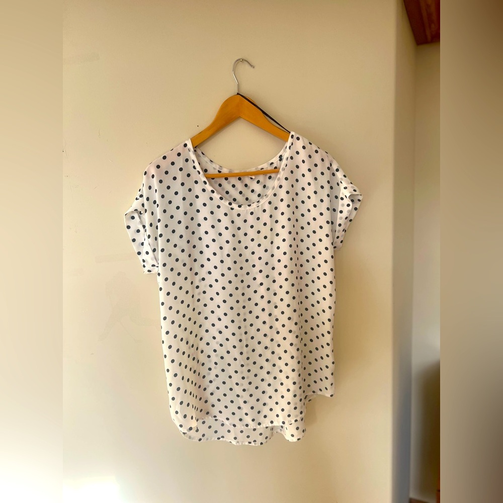 Pleione Polka Dotted Sheer Blouse